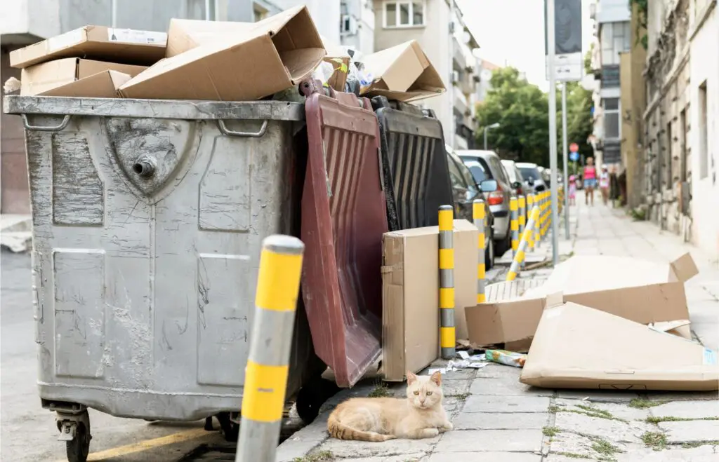 Dumpster to Clean Out Garage Oakland